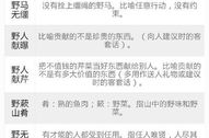 空空如也成语接龙,传承经典,巧思无限”