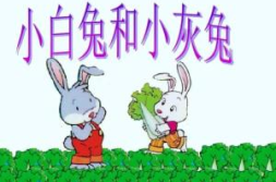 小白兔和小灰兔的段子,小白兔与小灰兔的故事