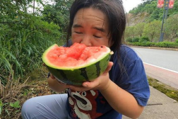 娱乐吃瓜菌子,警惕娱乐致幻,守护生命安全