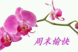 周末愉快的句子,温馨祝福相伴